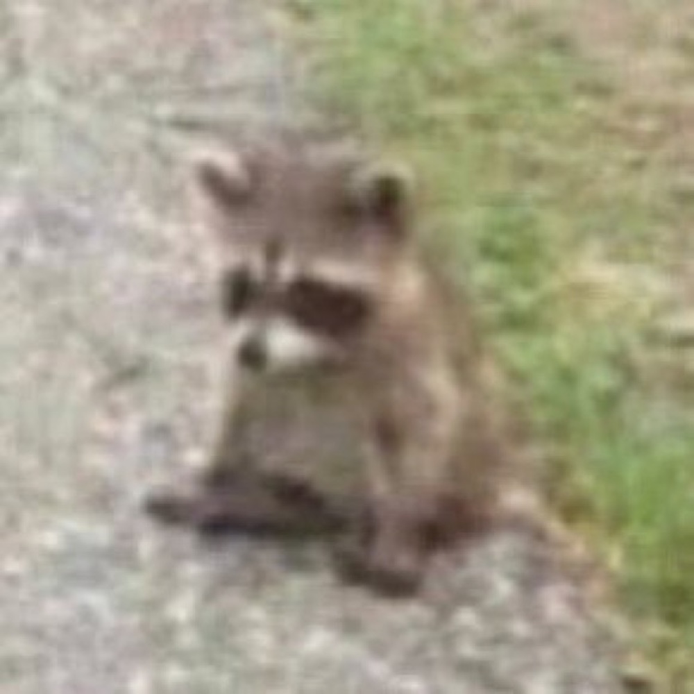 Meet your Posher, Ari